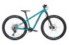 NALOO Hill Bill Pro 27.5 , Mk2, 11-Speed, Petrol